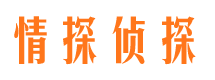 坡头市私家侦探